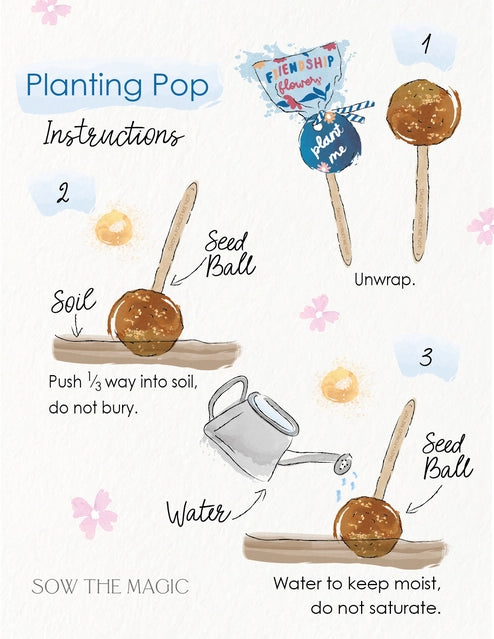 Garden + Gift Planting Lollipops
